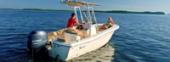 2021 Scout Boats 195 Sportfish