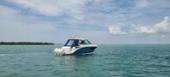 2022 Sea Ray Sundancer 320 Outboard