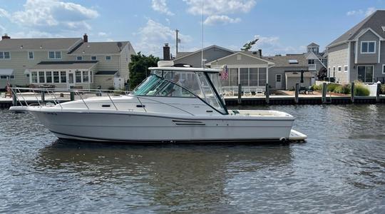 2000 Pursuit Boats 3000 Express