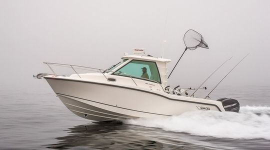2023 Boston Whaler 285 Conquest Pilothouse