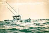Yellowfin 34 Offshore hardtop and rod holders against a warm evening sky