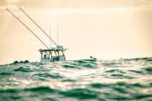 Yellowfin 34 Offshore hardtop and rod holders against a warm evening sky