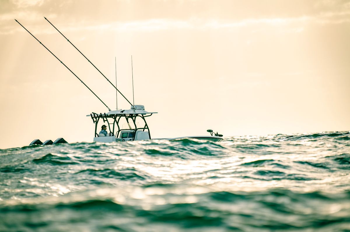 Yellowfin 34 Offshore hardtop and rod holders against a warm evening sky
