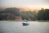 Greenough 17 pilothouse at anchor in a quiet cove under morning fog