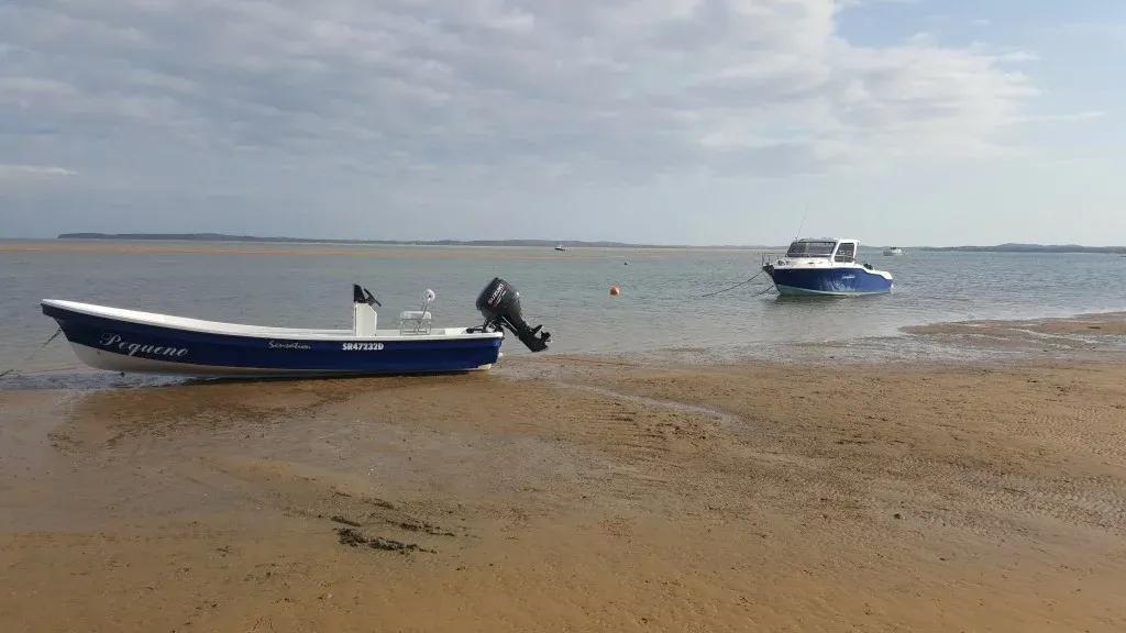 2019 Sensation Boats Islander