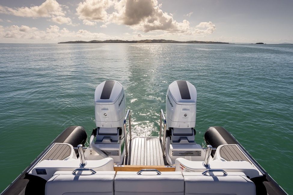 2022 Rayglass Boats Protector 410 Targa