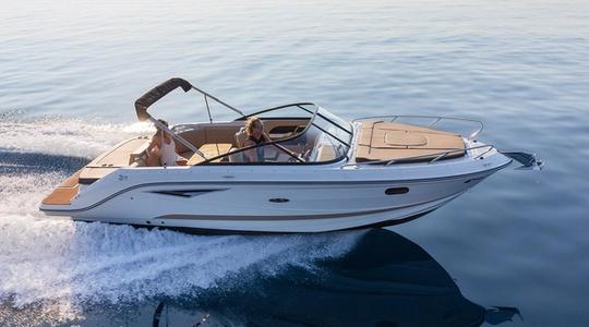 2022 Sea Ray Sunsport 250