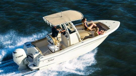 2022 Scout Boats 215 Xsf