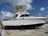 1991 Trojan Boats Sportfish