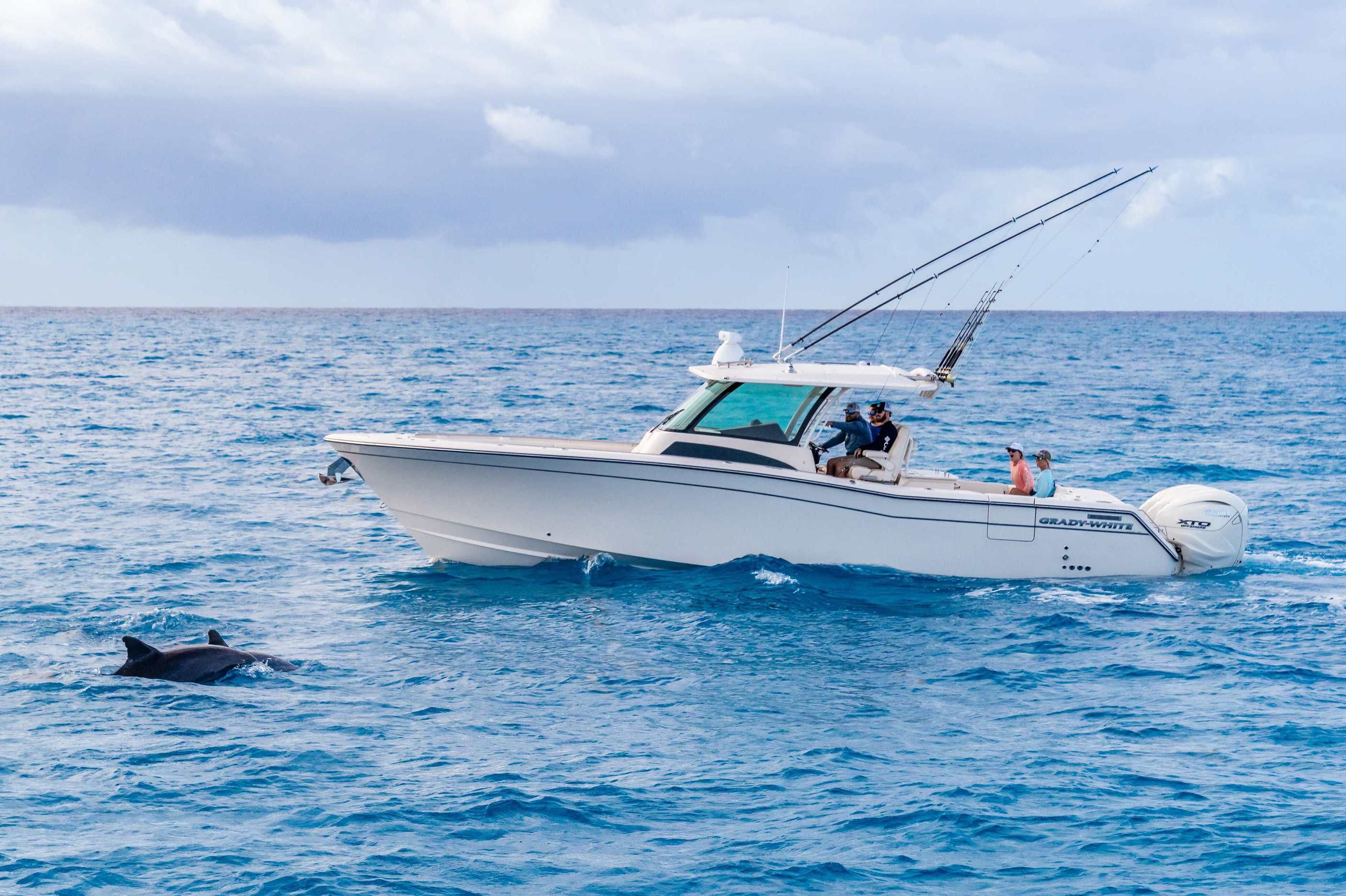 2024 Grady-White Canyon 386