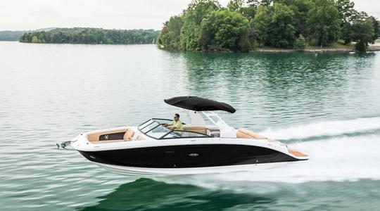 2023 Sea Ray SDX 290