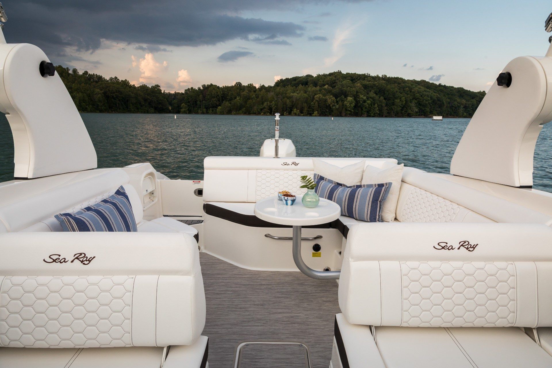 2018 Sea Ray SDX 270 Outboard