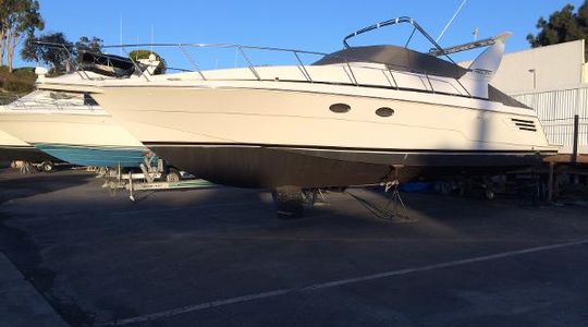 1999 Trojan Boats 400 Express