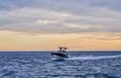 Quicksilver 805 Open, photo 3