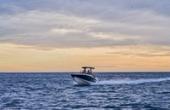 Quicksilver 805 Open, photo 3