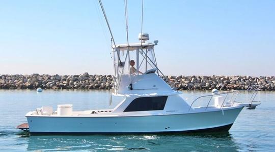 1974 Bertram 31 Flybridge Cruiser