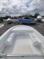 2021 Savannah Boat HYBRID SKIFF SS21