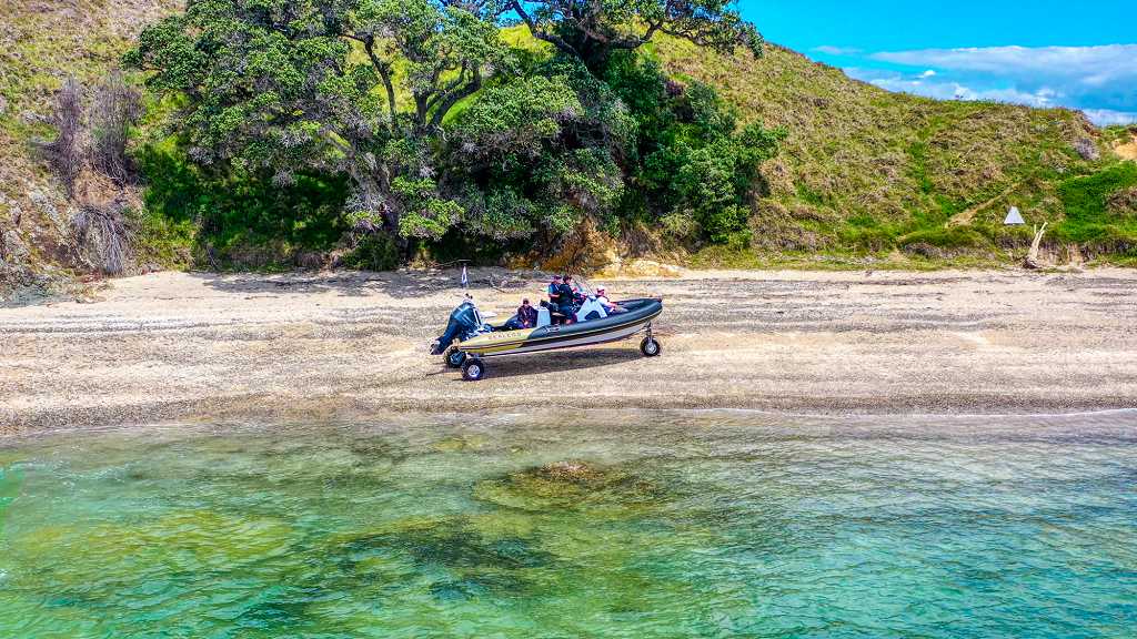 2020 Sealegs 7.5M Amphibious RIB 