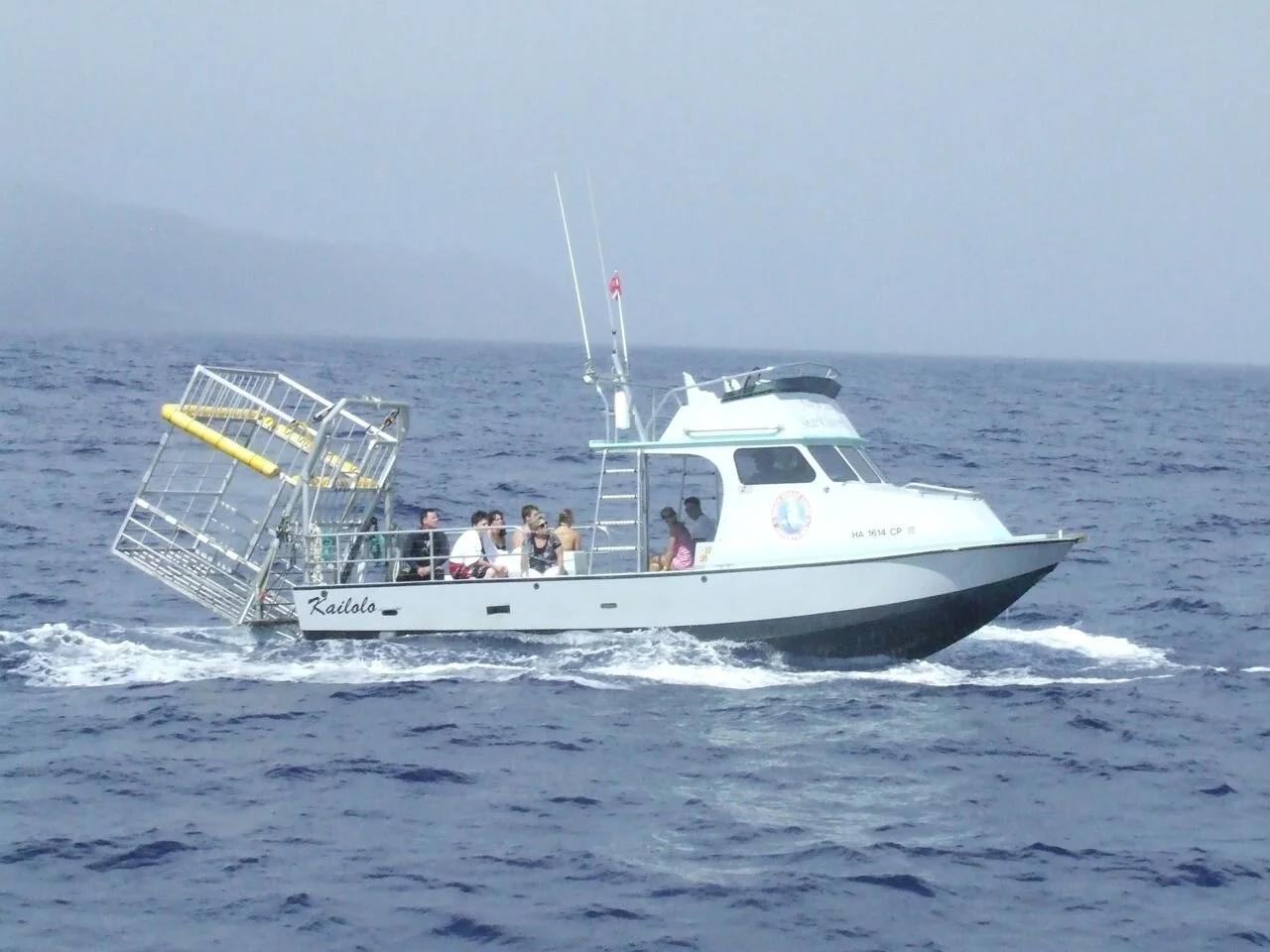 Anderson 31 dive boat with passengers and a shark cage on the stern underway at sea