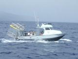 Anderson 31 dive boat with passengers and a shark cage on the stern underway at sea