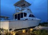 1991 Trojan Boats Sportfish