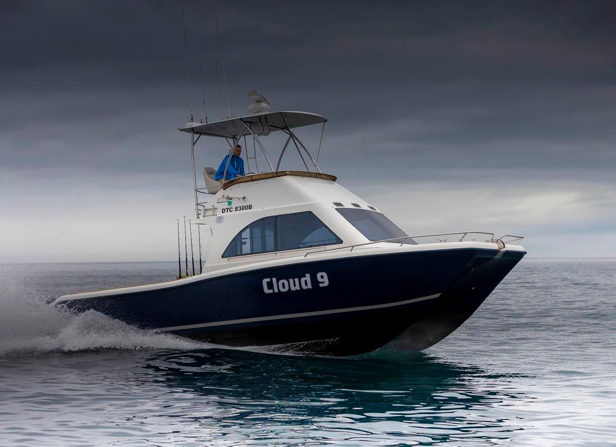 2010 Two Oceans Magnum 36 Power Catamaran Walkaround