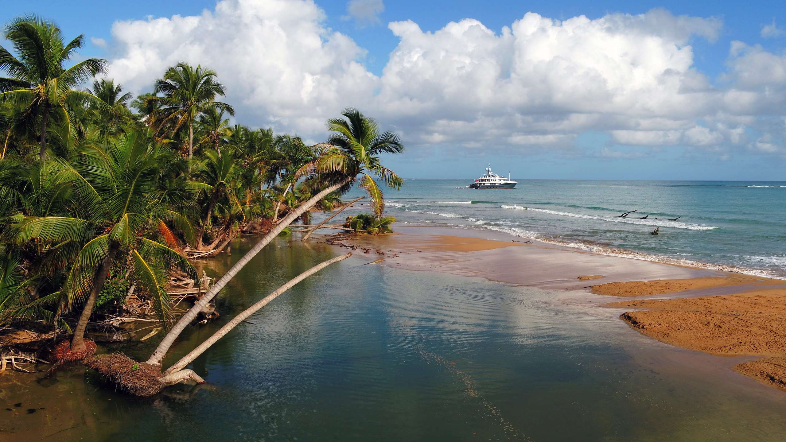 2013 Amels Gene Machine