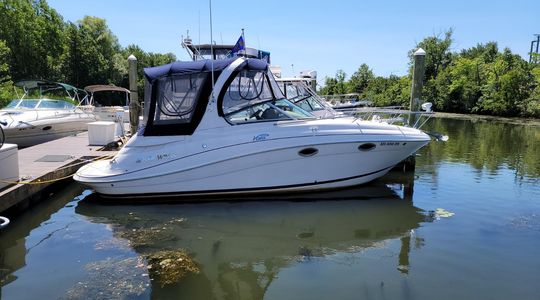 2006 Four Winns Vista 278