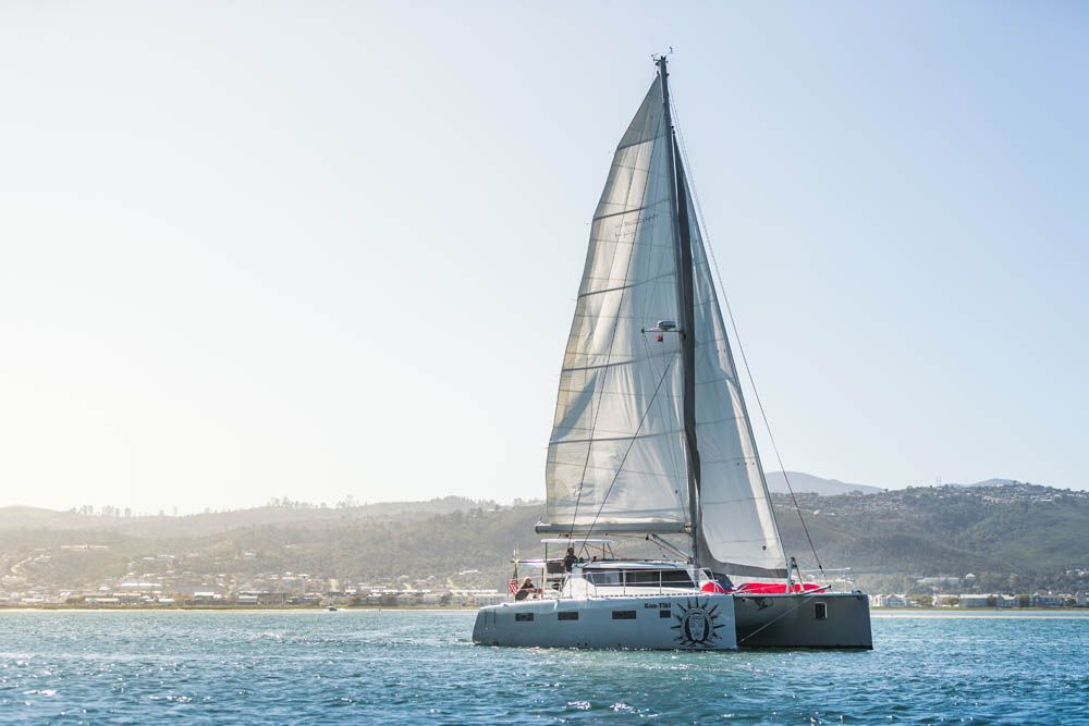 2019 Vision Yachts 444