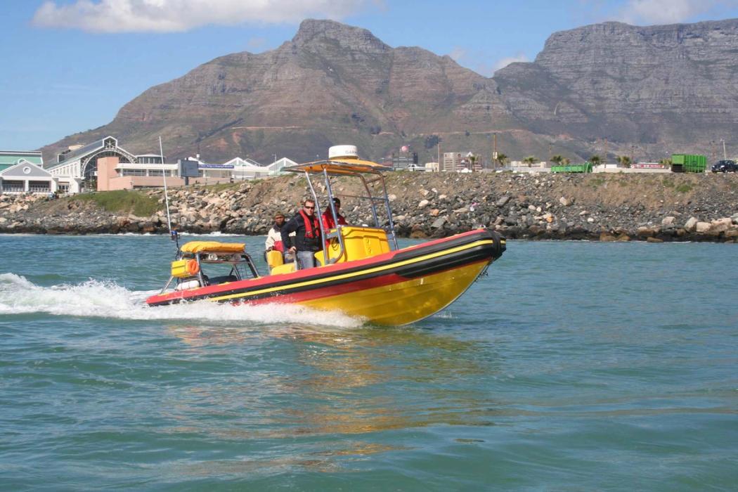 2021 Gemini Marine Waverider 650