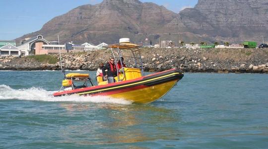 2021 Gemini Marine Waverider 650