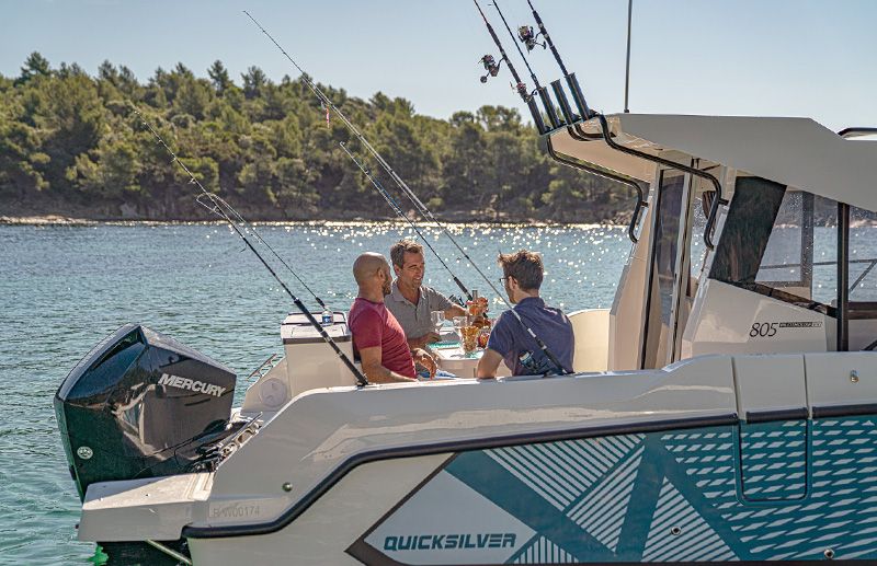 Quicksilver 805 Pilothouse Fish photo 4