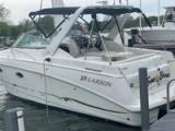 2001 Larson Marine Cabrio 290