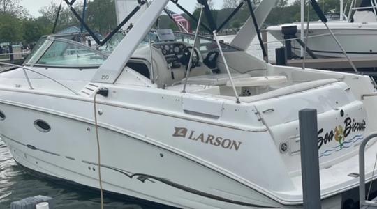 2001 Larson Marine Cabrio 290