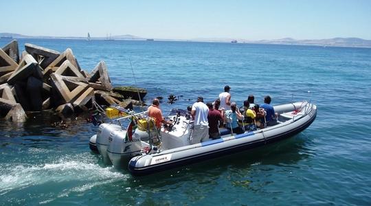 2022 Gemini Marine Waverider 800