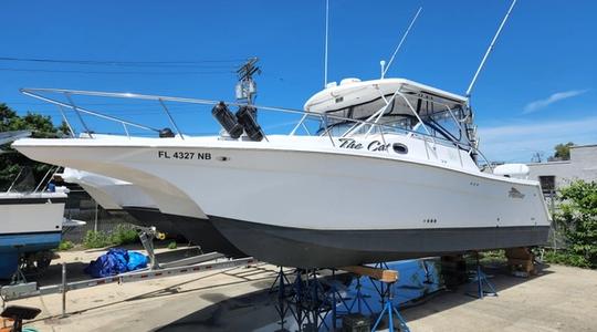 2007 Pro Cat Catamarans 3660