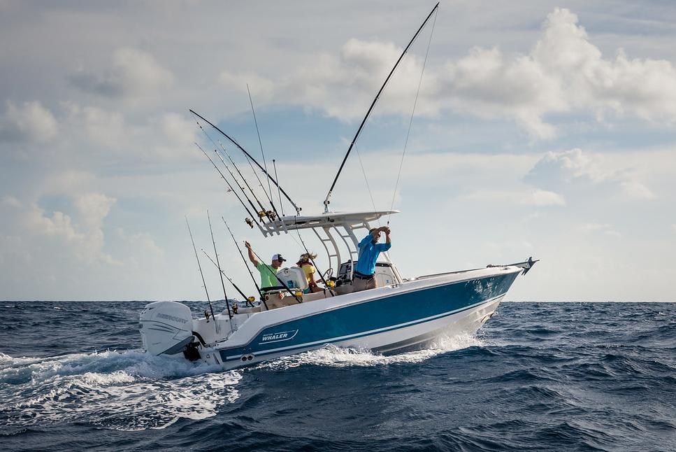 2022 Boston Whaler 230 Outrage