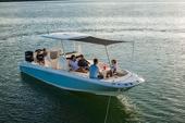 2022 Boston Whaler 270 Dauntless