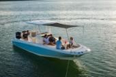 2022 Boston Whaler 270 Dauntless