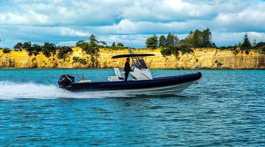 2022 Rayglass Boats Protector 310 Chase