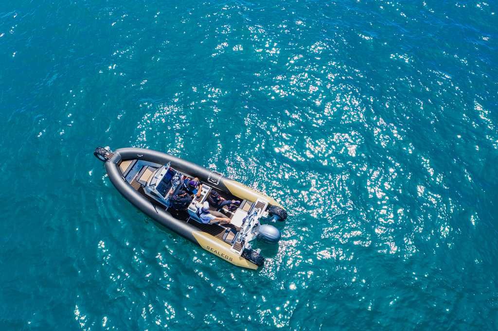 2020 Sealegs 7.5M Amphibious RIB