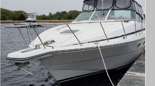 1994 Trojan Boats 370 Express