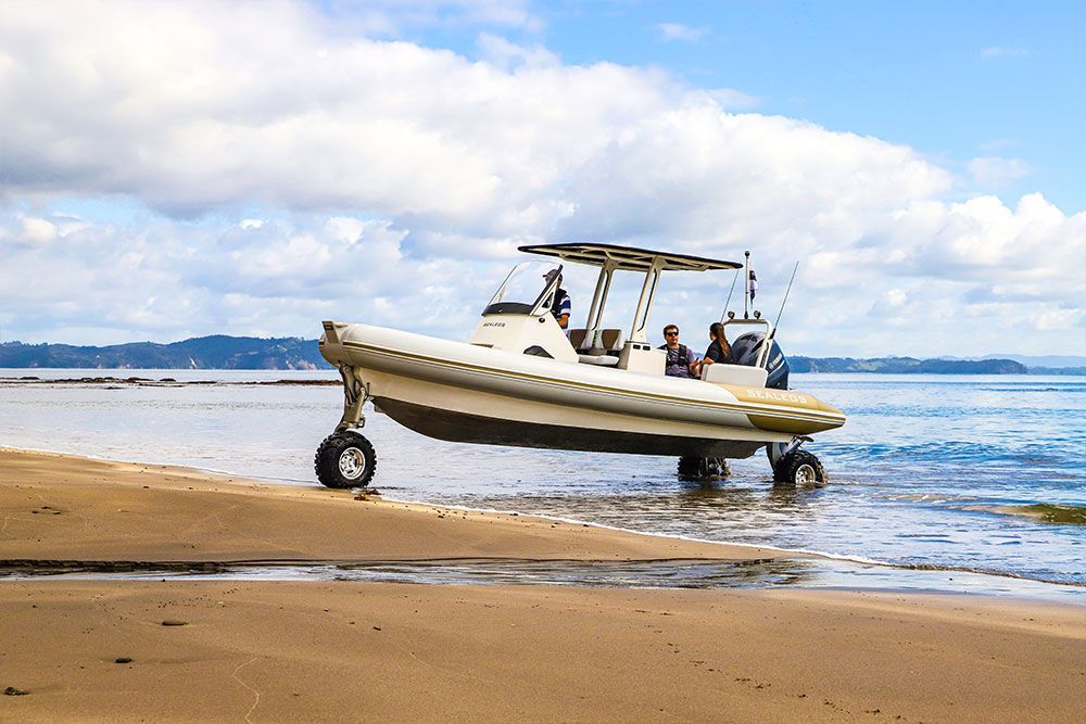 2020 Sealegs 7.5M Amphibious RIB 