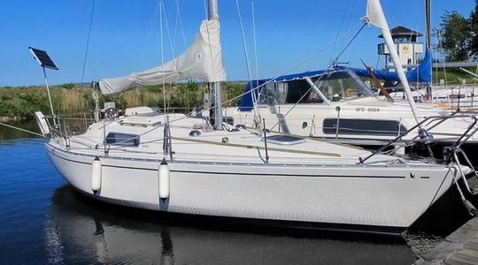 1979 Albin Marine Scampi 30