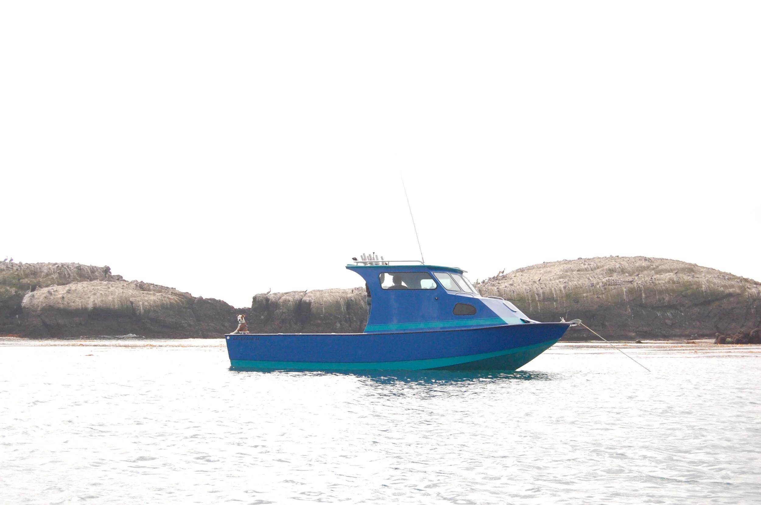 Blue Anderson 26 pilothouse anchored off rocky islets