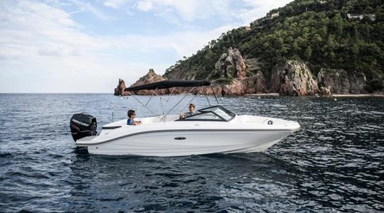 2023 Sea Ray SPX 210 Outboard