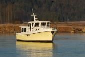 Cream-hulled American Tug 435 at rest on calm water