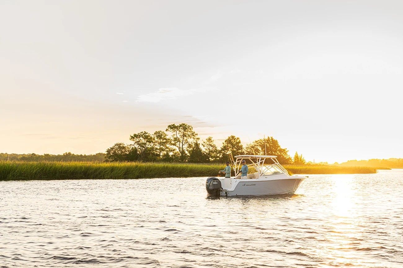 2021 Sailfish Boats 245 DC