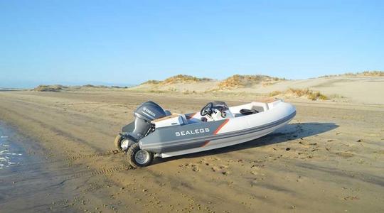 2022 Sealegs 3.8M Tender