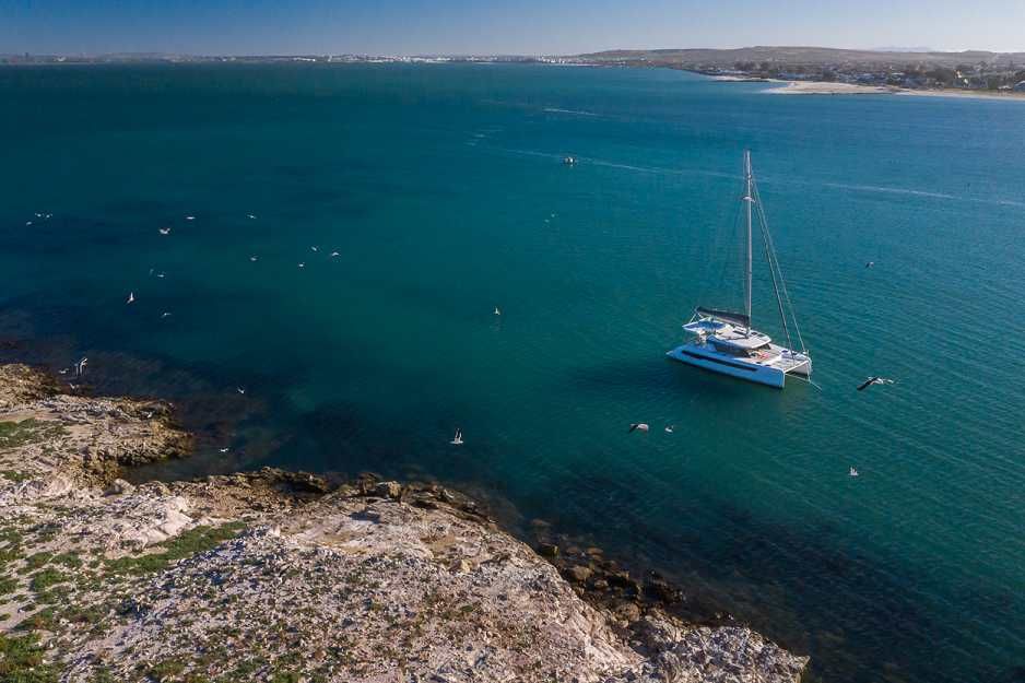 2019 Robertson and Caine Leopard 42